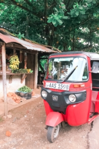 5 THINGS YOU CANT MISS IN KANDY SRI LANKA | the belle abroad