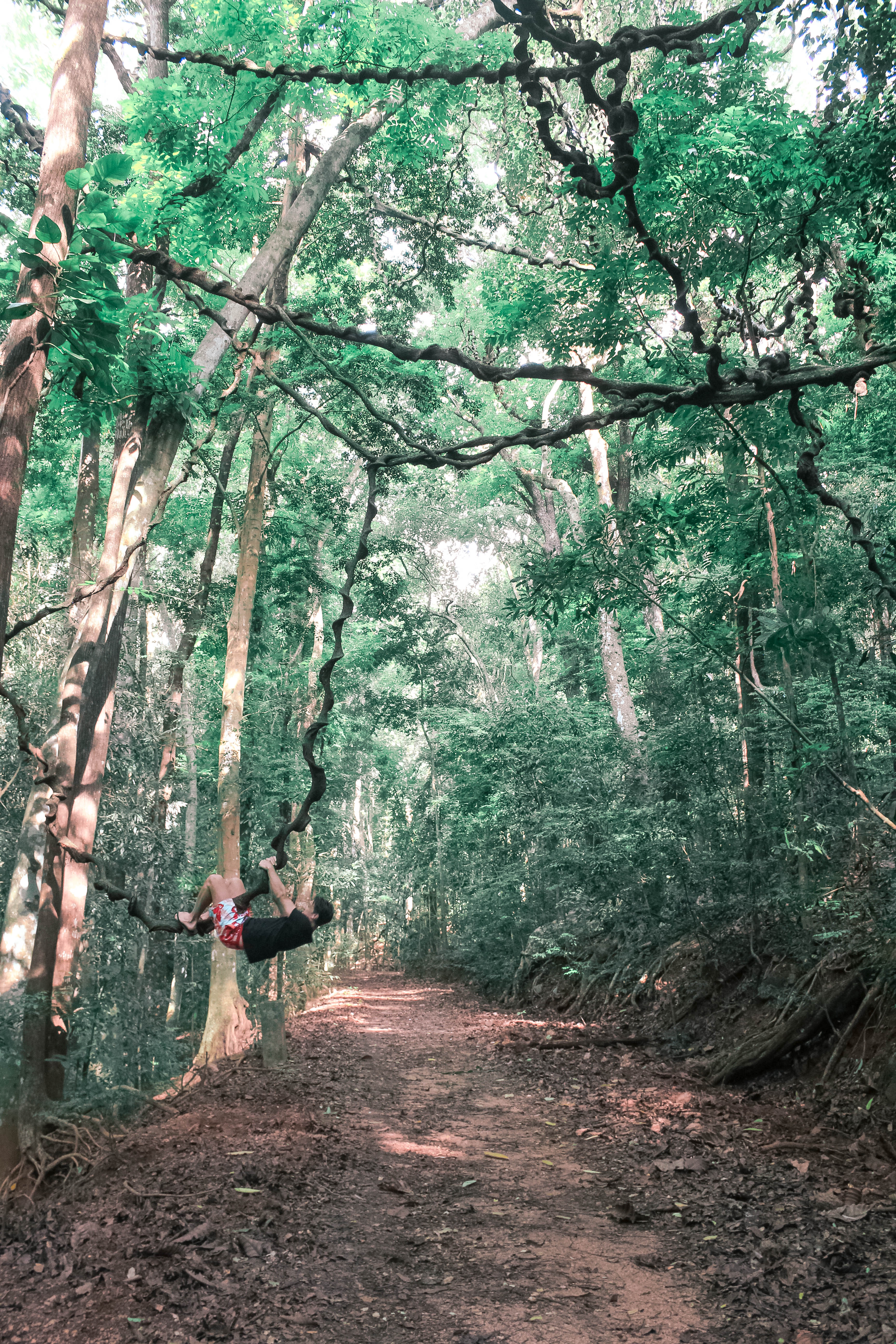 5 THINGS YOU CANT MISS IN KANDY SRI LANKA | the belle abroad