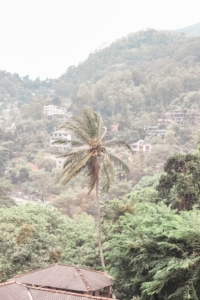 5 THINGS YOU CANT MISS IN KANDY SRI LANKA | the belle abroad