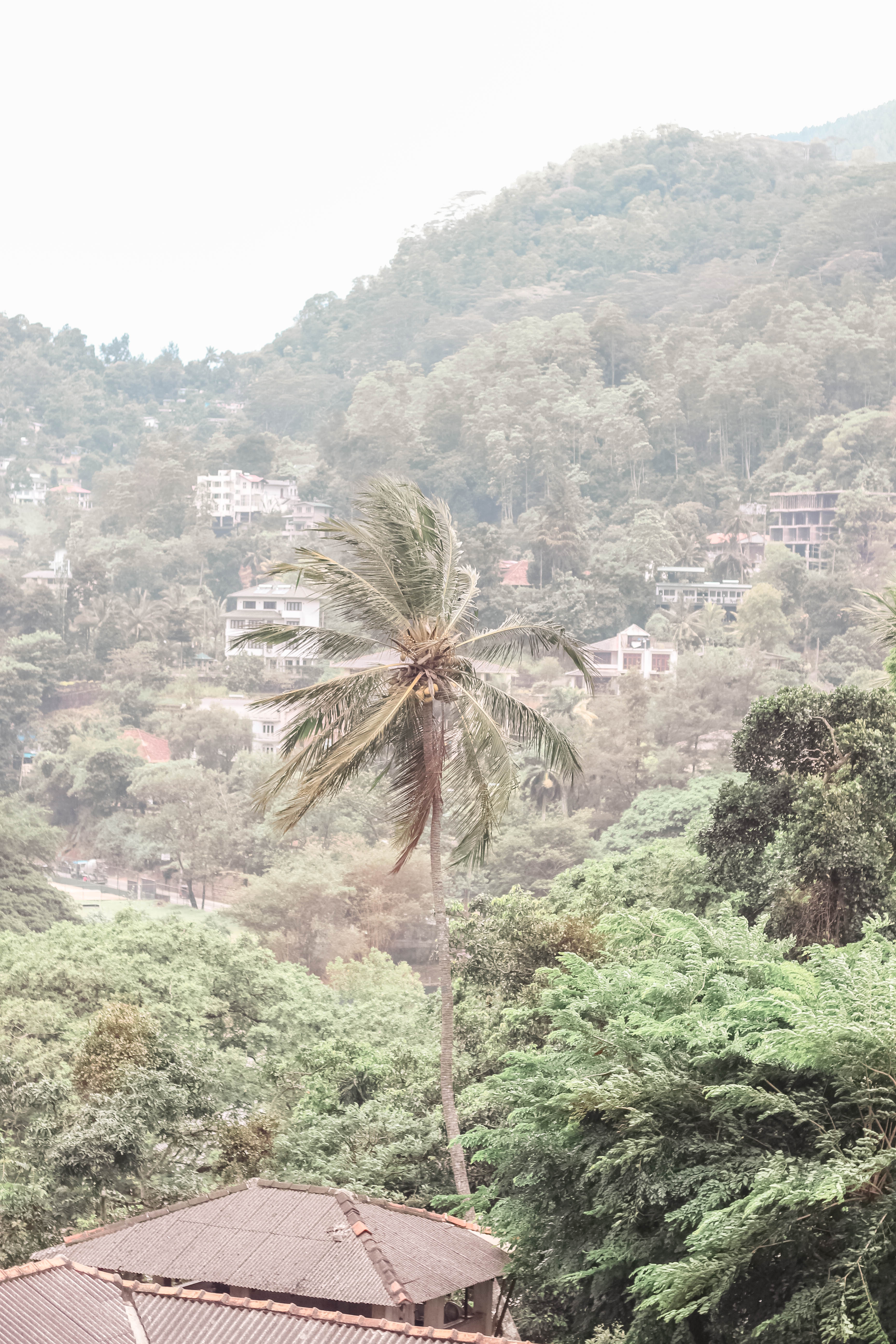 5 THINGS YOU CANT MISS IN KANDY SRI LANKA | the belle abroad