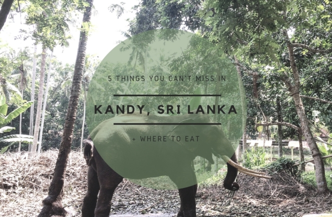 5 THINGS YOU CANT MISS IN KANDY SRI LANKA | the belle abroad