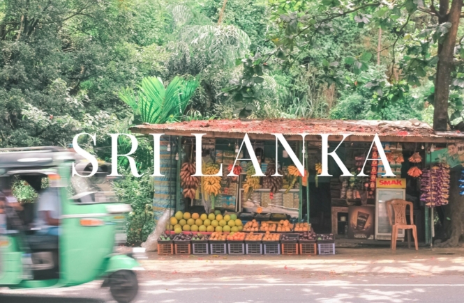 SRI LANKA TRAVEL | the belle abroad