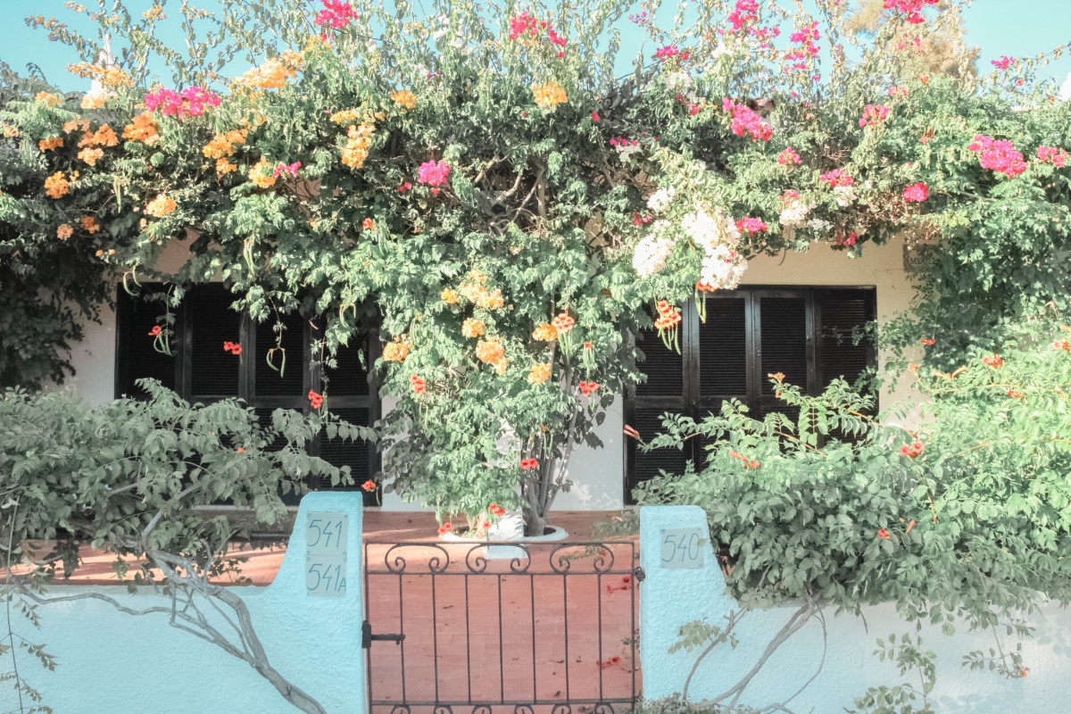 THE ALGARVE : EXPLORING SOUTHERN PORTUGAL | the belle abroad