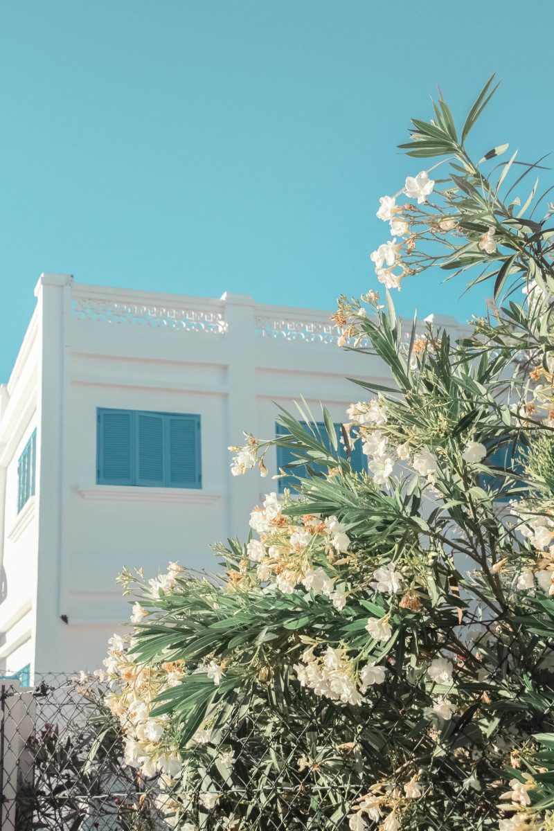 THE ALGARVE : EXPLORING SOUTHERN PORTUGAL | the belle abroad