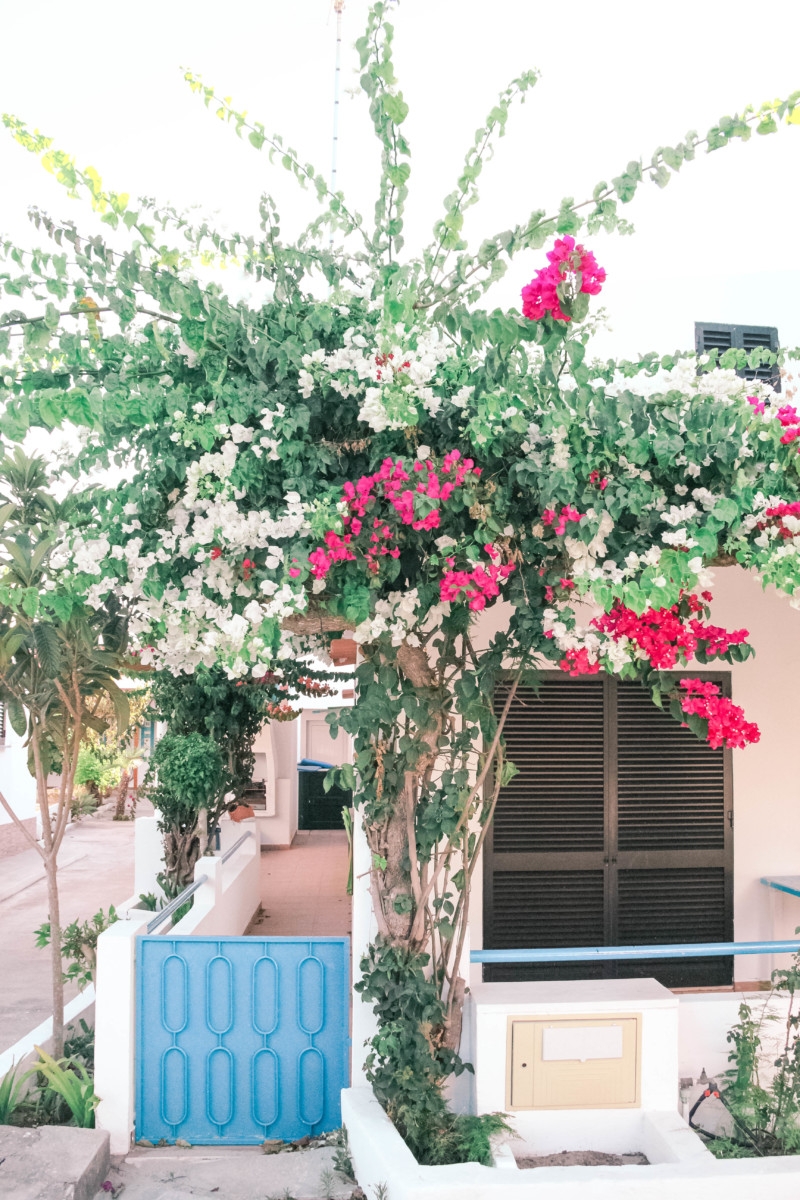 THE ALGARVE : EXPLORING SOUTHERN PORTUGAL | the belle abroad