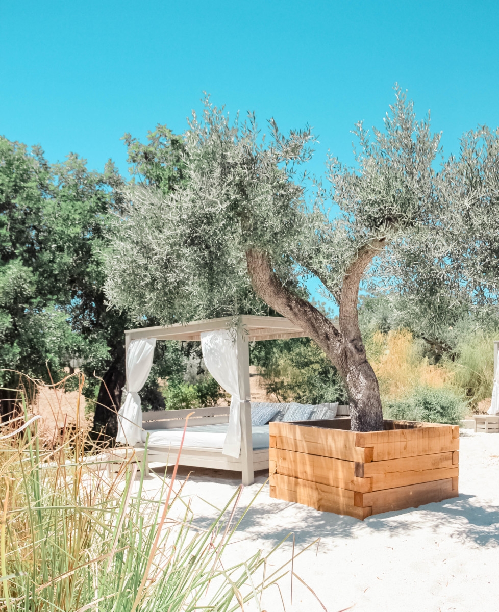 FARMHOUSE STAY AT FAZENDA NOVA | the belle abroad