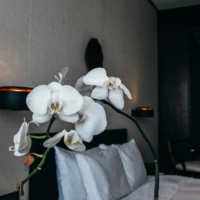 The PuLi Shanghai | the belle abroad