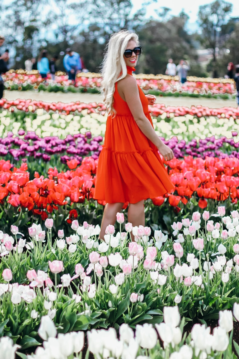 Melbourne Tulips Poppy Dress | the belle abroad