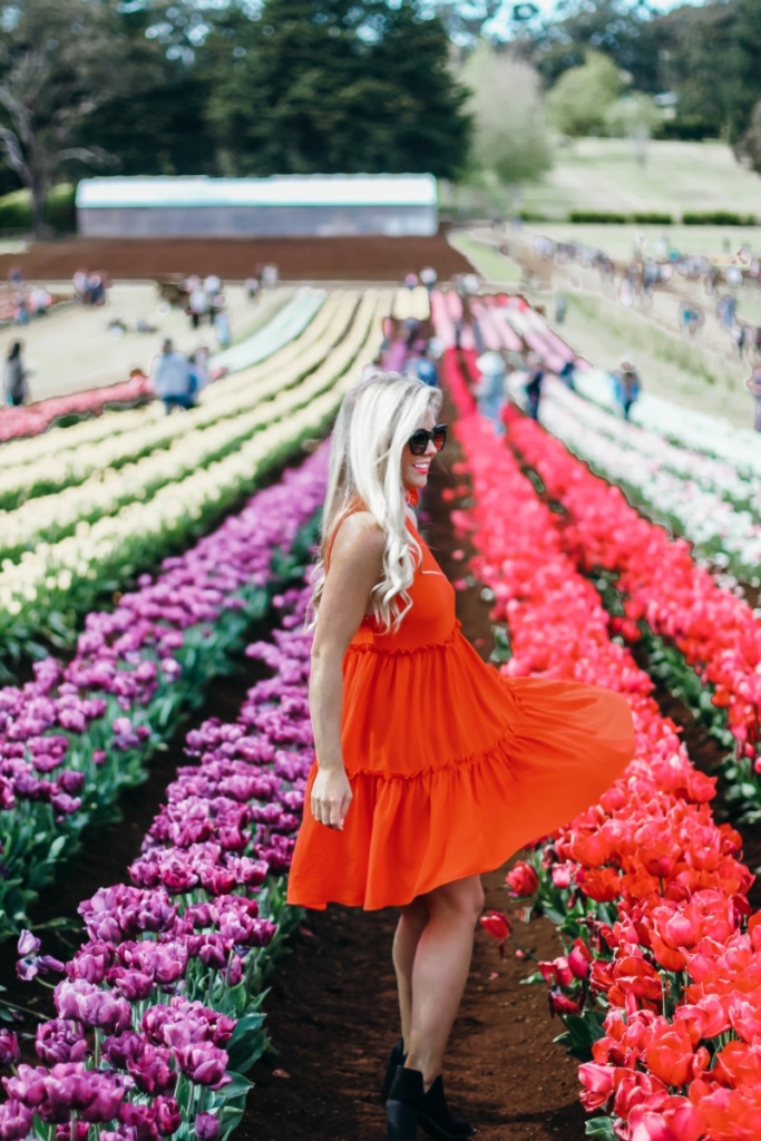 Melbourne Tulips Poppy Dress | the belle abroad