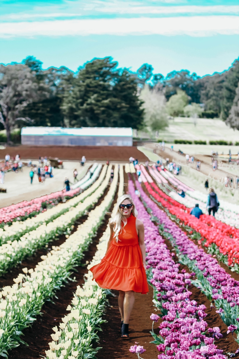 Melbourne Tulips Poppy Dress | the belle abroad