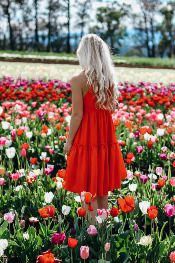 Melbourne Tulips Poppy Dress | the belle abroad