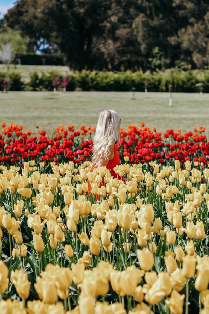 Melbourne Tulips Poppy Dress | the belle abroad