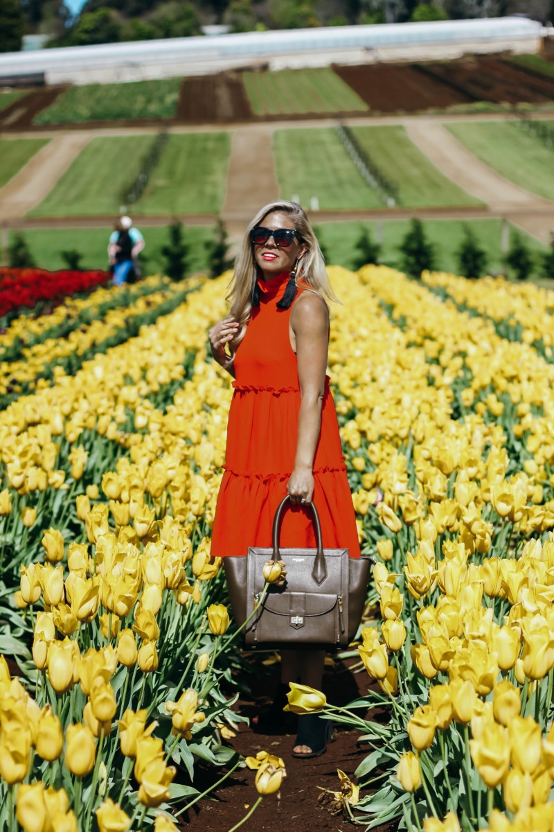 Melbourne Tulips Poppy Dress | the belle abroad
