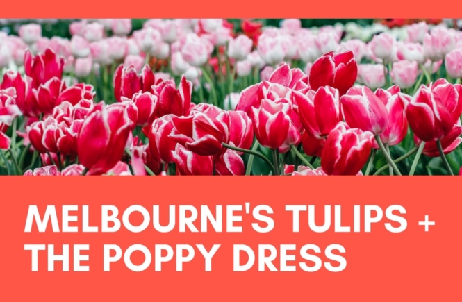 Melbourne Tulips Poppy Dress | the belle abroad