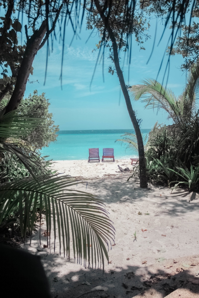 COCO PALM DHUNI KOLHU