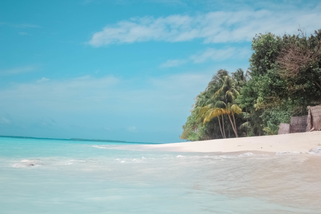COCO PALM DHUNI KOLHU