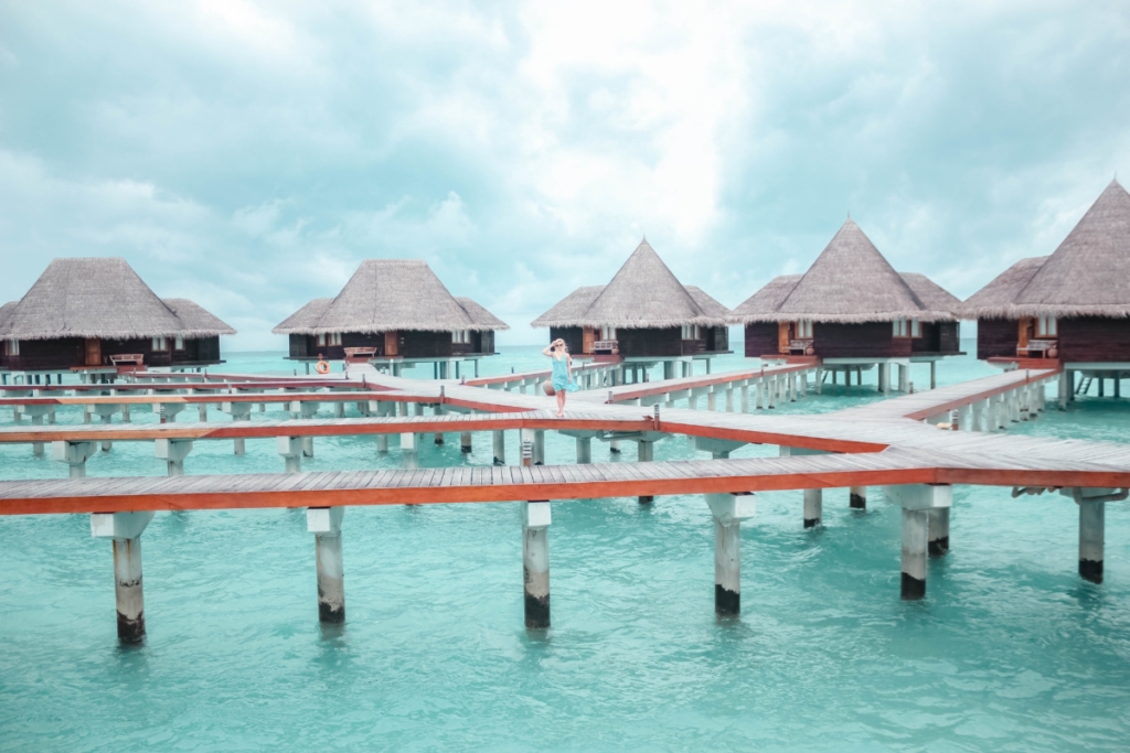 COCO PALM DHUNI KOLHU